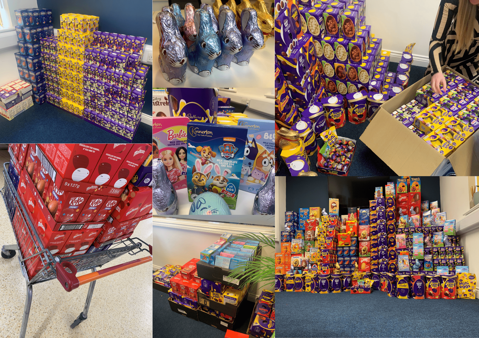 MacKenzie King Accountancy Recruitment Easter Egg Appeal 2024